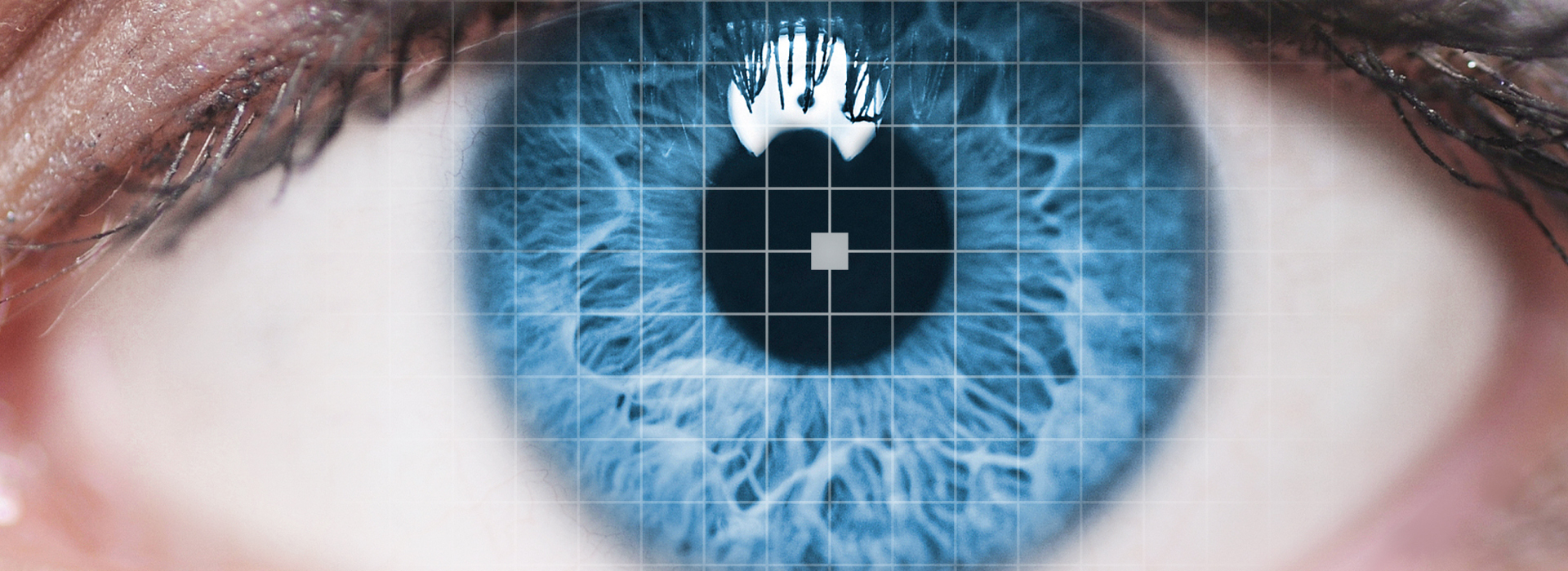Auge, Nahaufnahme, Amsler-Gitter-Test, blau