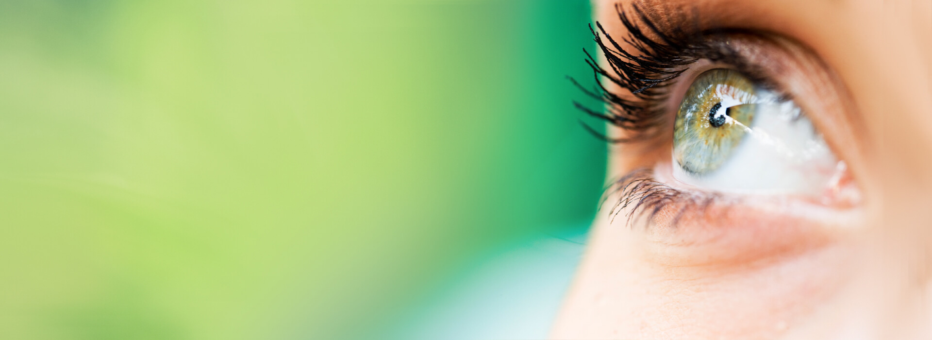 DIE Pflanze für gesunde Augen: Augentrost (Euphrasia)